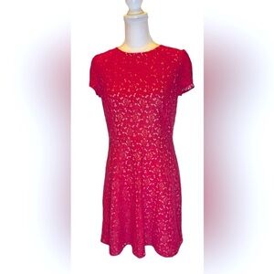 Ann Taylor Loft eyelet Dress